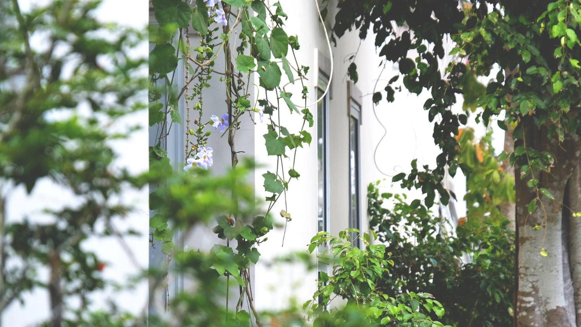 Vila Basi Nguyet Hang Exterior foto